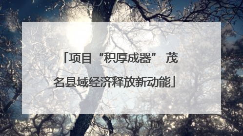 项目“积厚成器” 茂名县域经济释放新动能